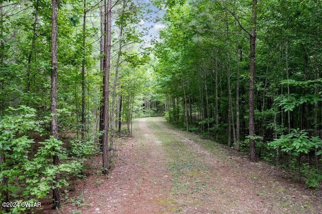 view of local wilderness