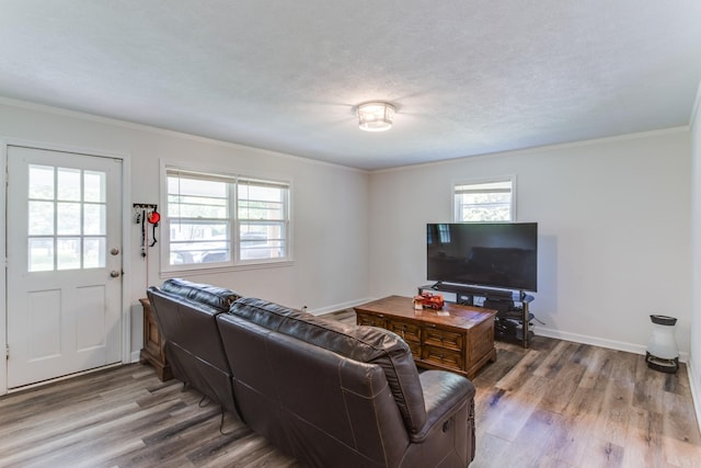 living room with light hardwood / wood-style flooring, crown molding, and a textured ceiling