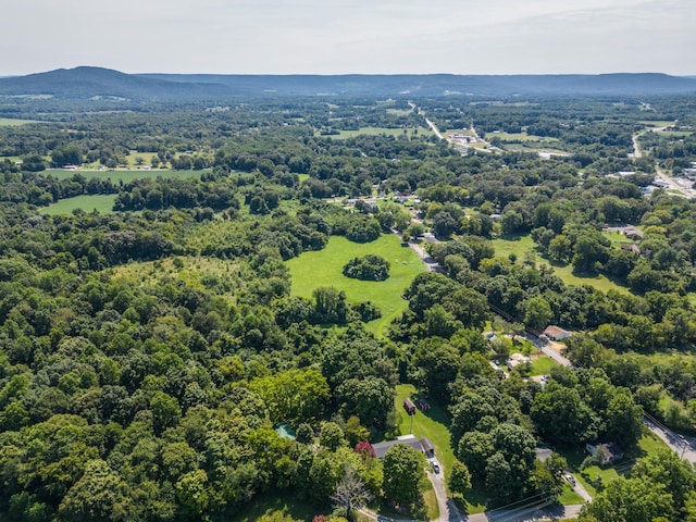 aerial view with a mountain view