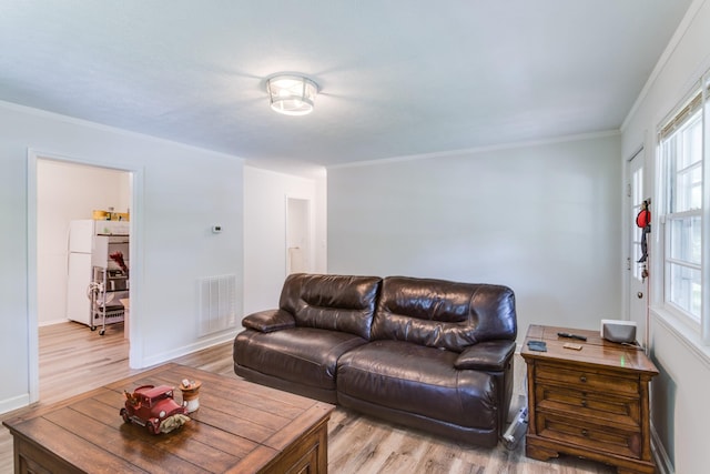 living room with light hardwood / wood-style floors and crown molding