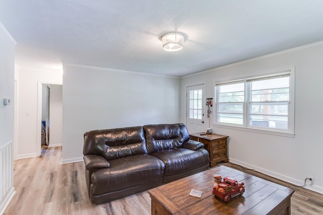 living room with ornamental molding and light wood-type flooring