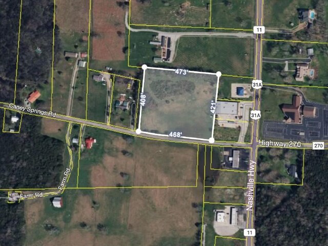 0 Caney Springs Rd, Chapel Hill TN, 37034 land for sale