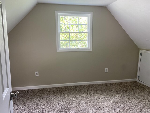 bonus room with carpet floors and vaulted ceiling