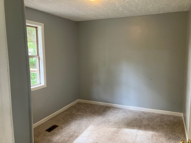 empty room featuring a textured ceiling, a healthy amount of sunlight, and carpet