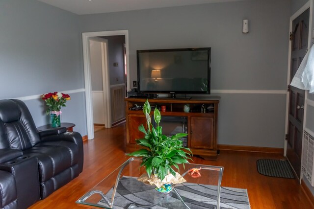 living room featuring hardwood / wood-style floors
