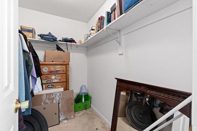 spacious closet with light carpet