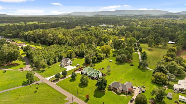 aerial view with a mountain view