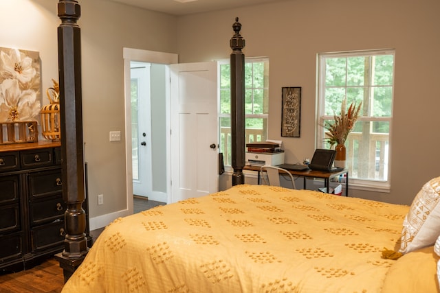 bedroom featuring multiple windows and dark hardwood / wood-style floors