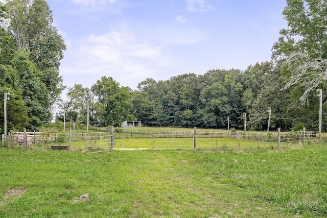 view of yard with a rural view