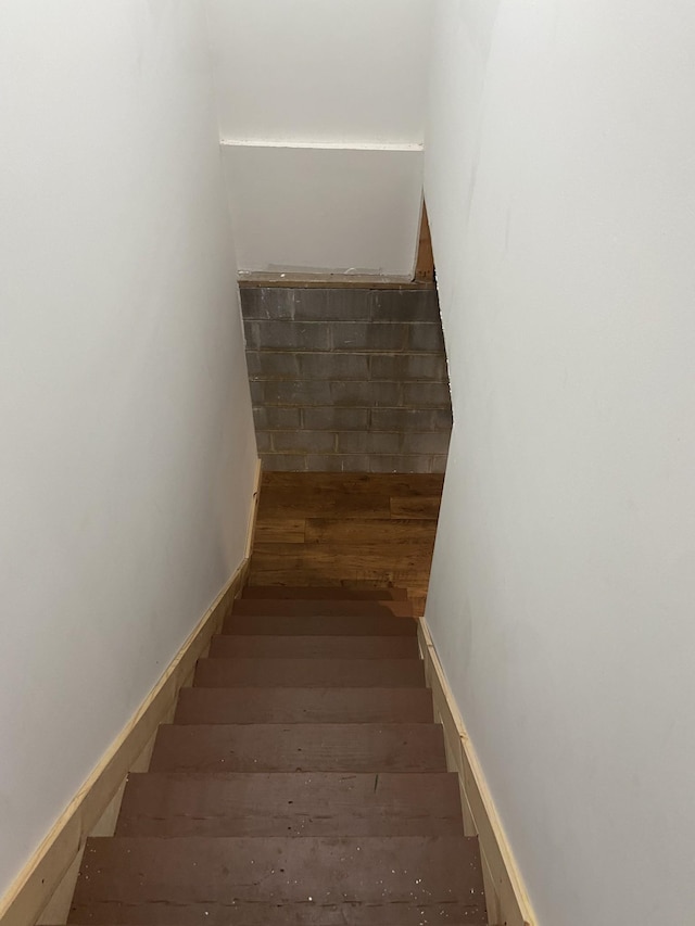 stairway with wood-type flooring