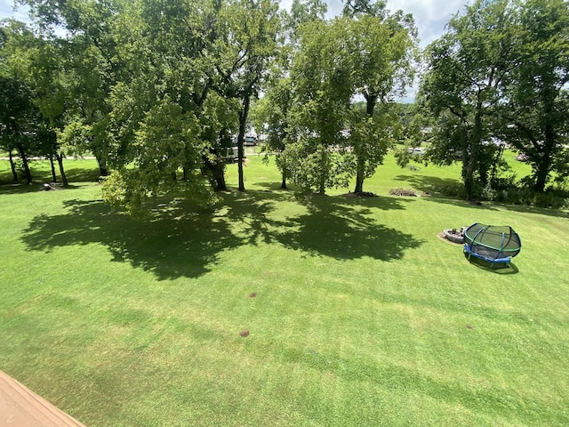 view of yard with a trampoline