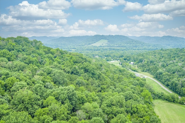 Listing photo 3 for 0 Hopkins Hollow Rd, Gainesboro TN 38562