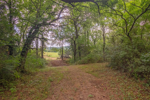 Listing photo 3 for 0 Shelbyville Hwy, Fayetteville TN 37334