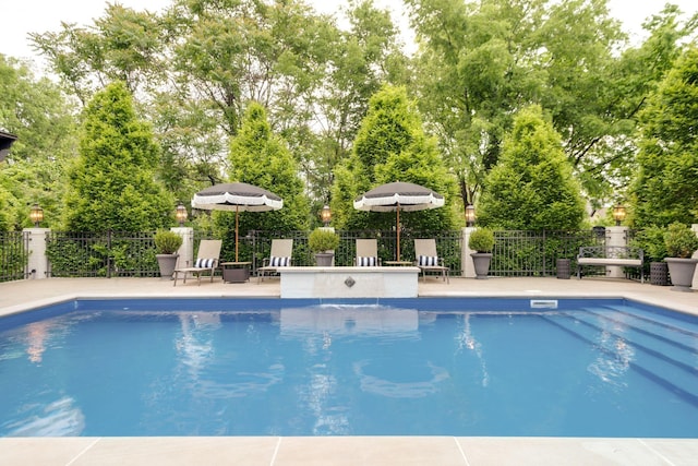 view of swimming pool