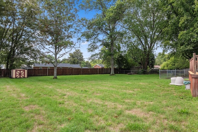 view of yard featuring a shed