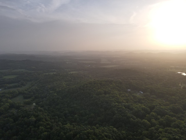 view of nature at dusk