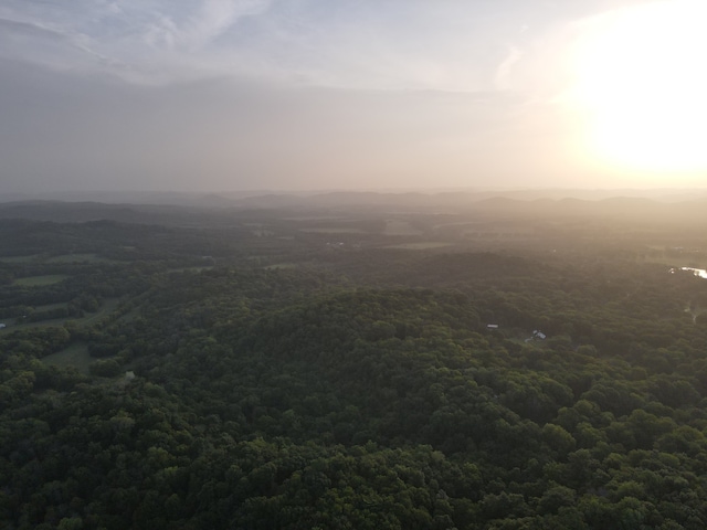 view of nature at dusk