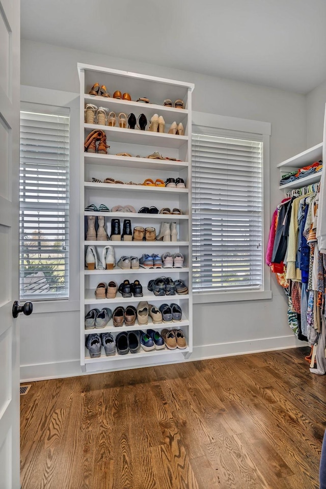 spacious closet featuring wood-type flooring