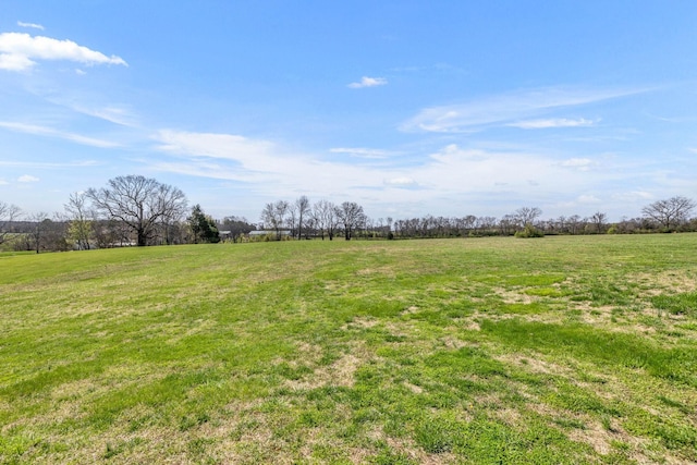 view of yard with a rural view