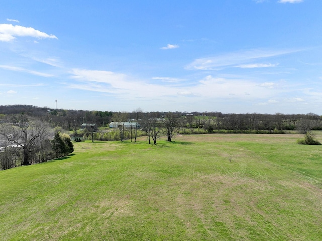 view of yard featuring a rural view