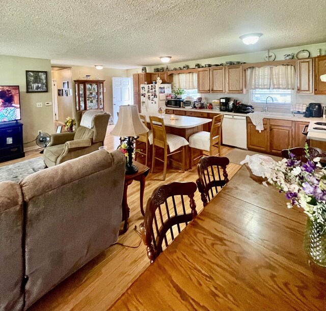 interior space featuring sink, a textured ceiling, and light hardwood / wood-style floors