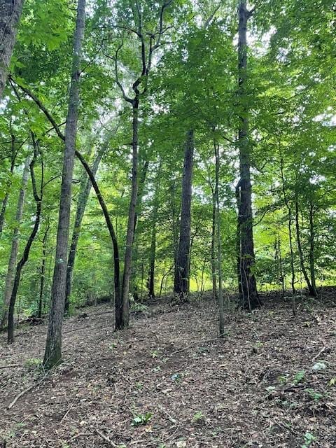 822 Myers Cove Rd, Mcminnville, TN 37110 - photo 6