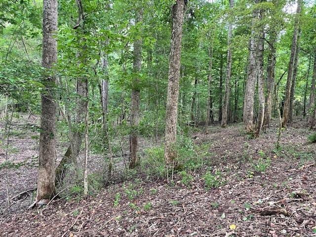 822 Myers Cove Rd, Mcminnville, TN 37110 - photo 5