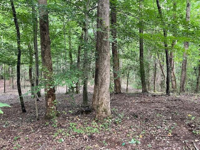 822 Myers Cove Rd, Mc Minnville TN, 37110 land for sale