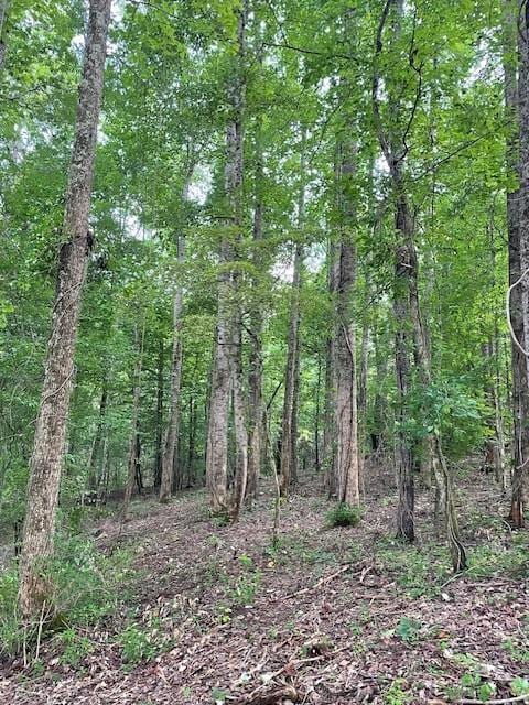 822 Myers Cove Rd, Mcminnville, TN 37110 - photo 4