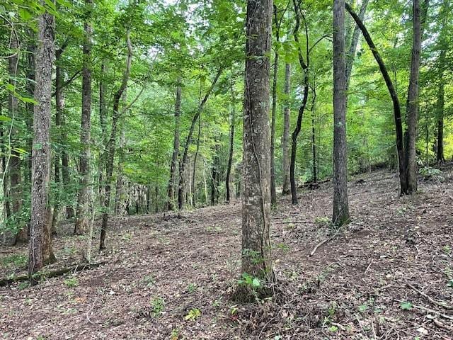 822 Myers Cove Rd, Mcminnville, TN 37110 - photo 7