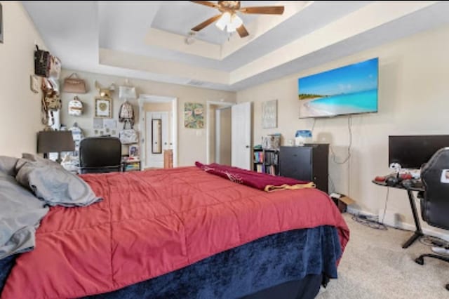 carpeted bedroom with a tray ceiling