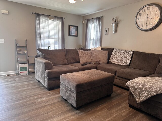 living room featuring wood-type flooring and plenty of natural light