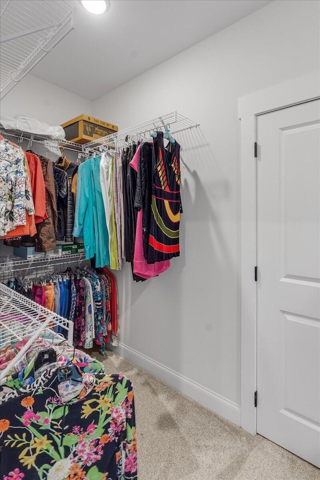 spacious closet featuring carpet floors