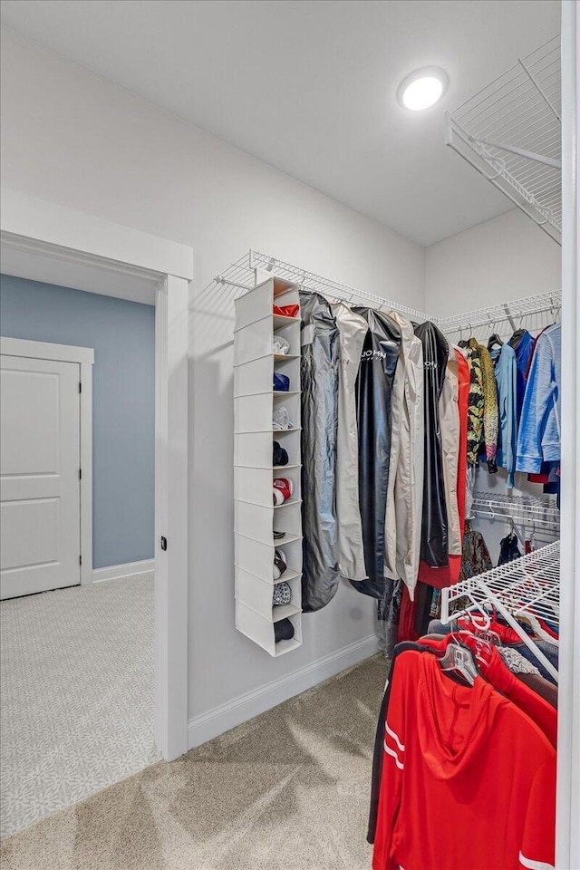 spacious closet featuring carpet