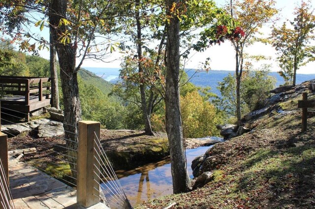 view of water feature