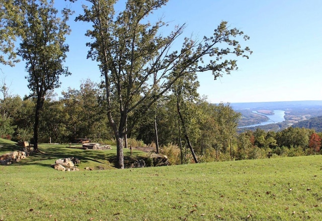 view of yard featuring a forest view