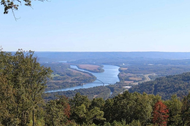 property view of mountains featuring a wooded view and a water view