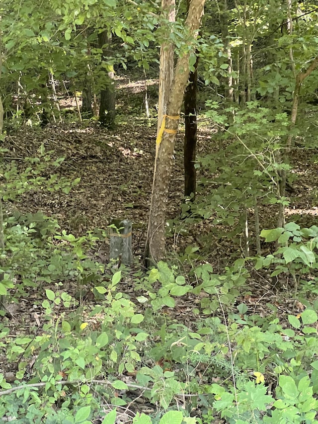 0 Hollis Crossing Rd, Cumberland Furnace, TN 37051