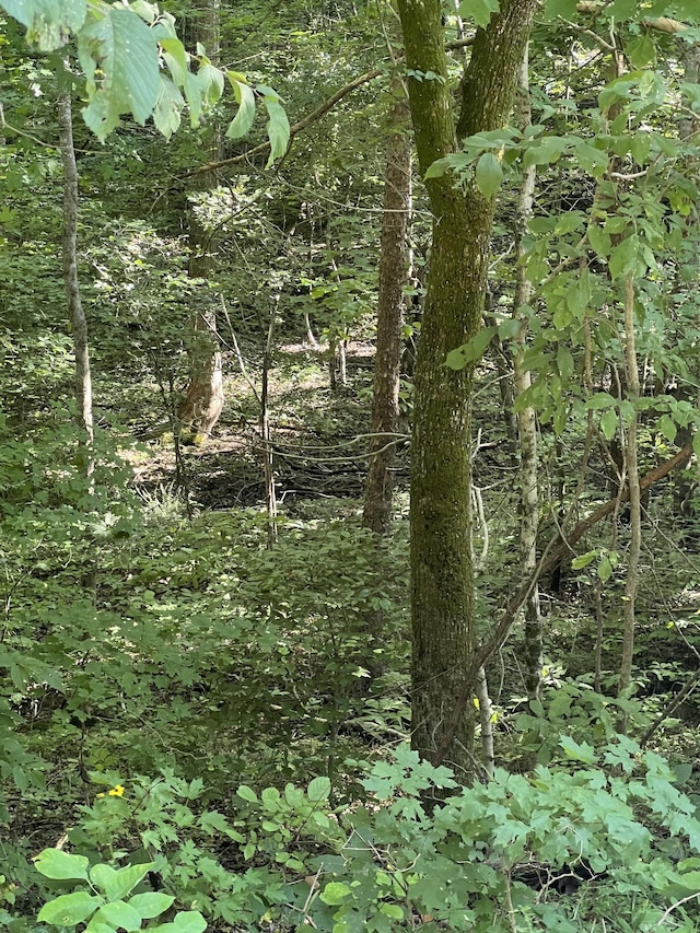 0 Hollis Crossing Rd, Cumberland Furnace, TN 37051