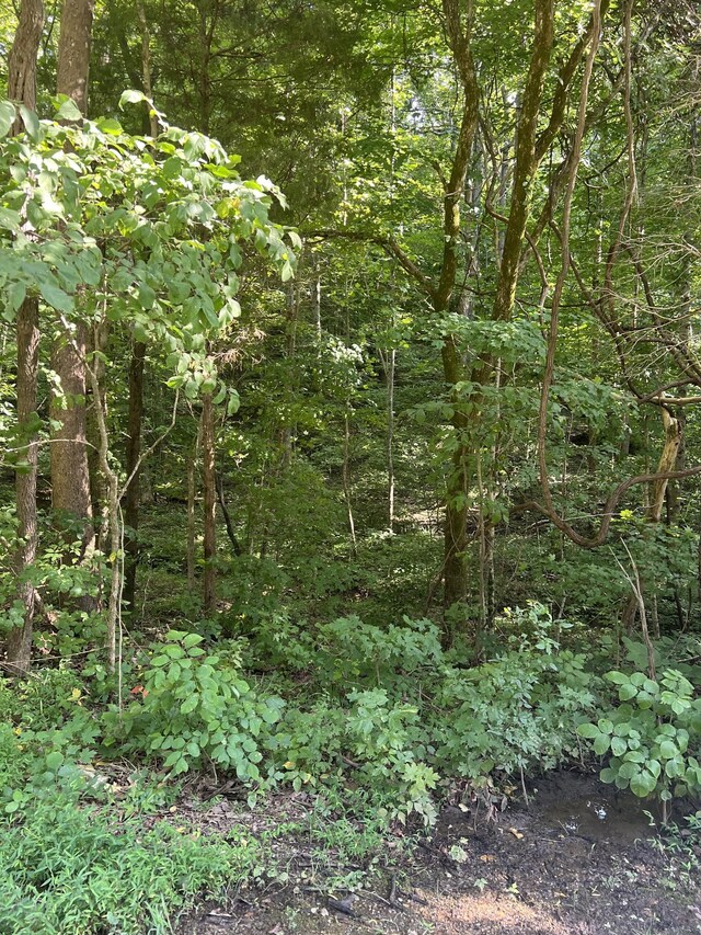 0 Hollis Crossing Rd, Cumberland Furnace, TN 37051