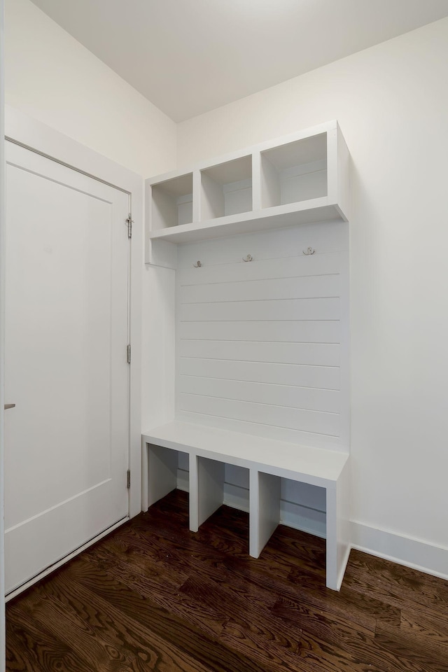 mudroom featuring dark wood-type flooring