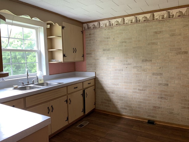 kitchen featuring sink, dark wood-type flooring, ornamental molding, and brick wall