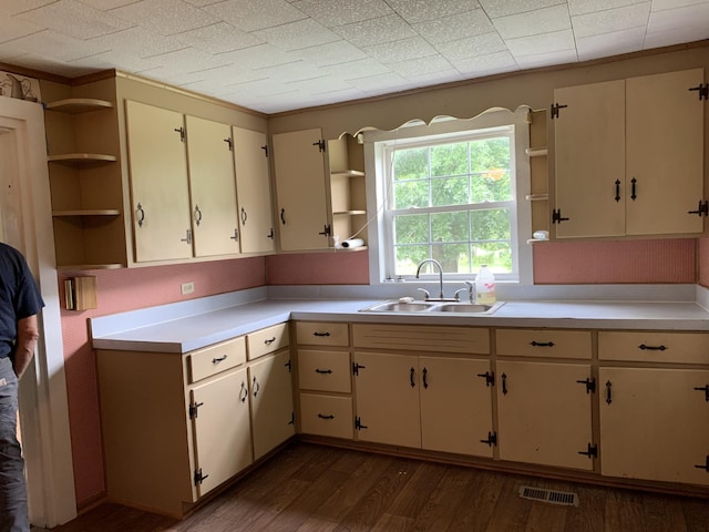 kitchen featuring cream cabinets, dark hardwood / wood-style floors, and sink