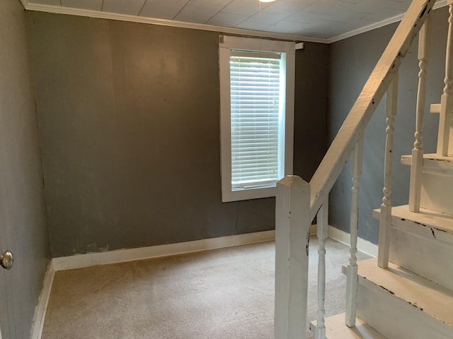 spare room featuring crown molding, plenty of natural light, and carpet floors