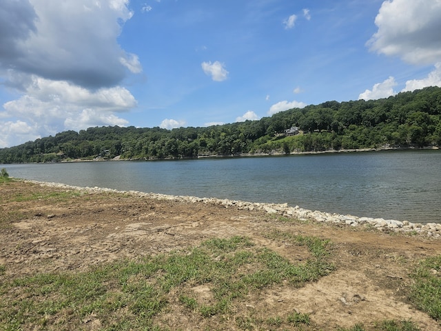 2271 Hardin Bottom River Rd, Clifton TN, 38425 land for sale