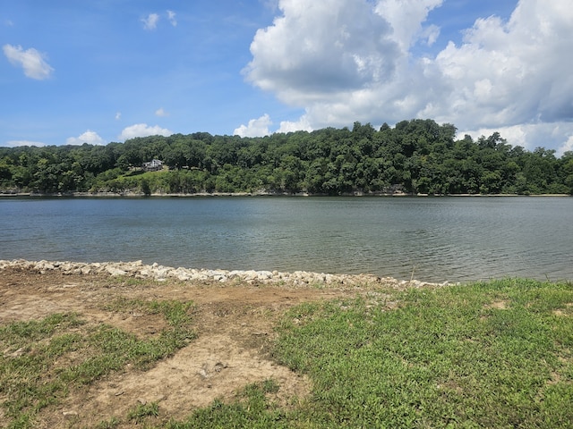 Listing photo 2 for 2271 Hardin Bottom River Rd, Clifton TN 38425