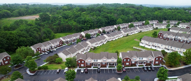 aerial view