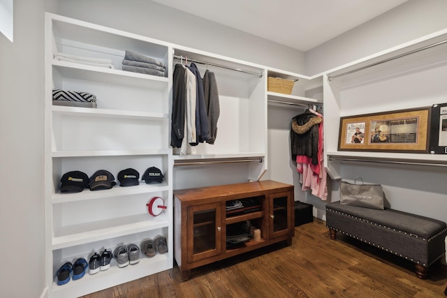 spacious closet featuring dark hardwood / wood-style floors