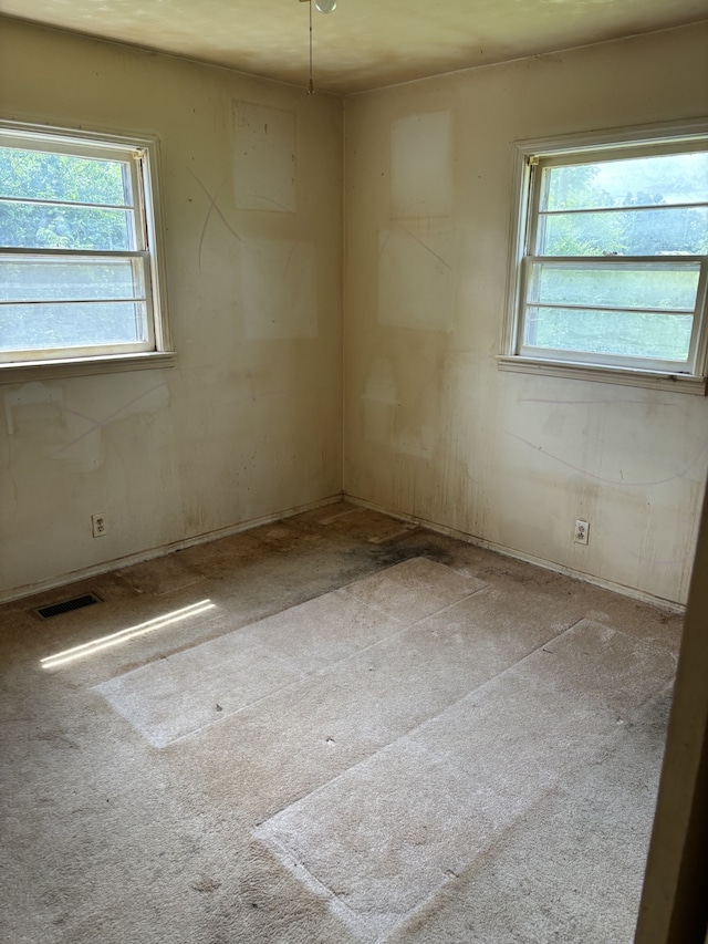 spare room featuring plenty of natural light and light colored carpet