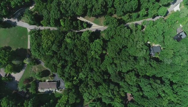 905 Otter Creek Rd, Nashville, TN 37220 - photo 10